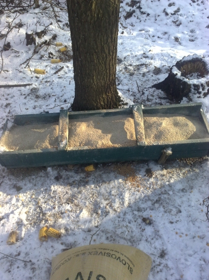 dnesne podanie lieciv