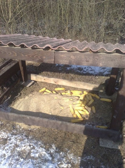 Zasyp v casti reviru Potoky