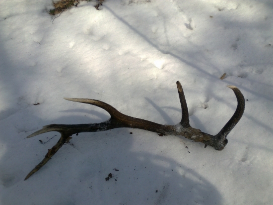 Bol pod snehom len konce bolo vidno