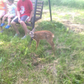 Takto samo došlo k nam