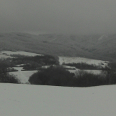 Pohĺad z dnešnej poľovačky