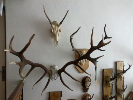 Tie som musel natrieť