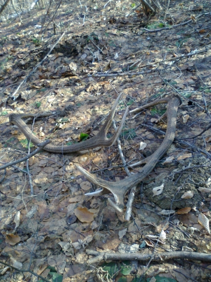 Pohľad ktori poteši.