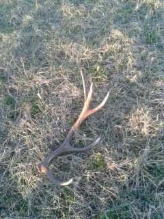 Poobede sa zadarilo.