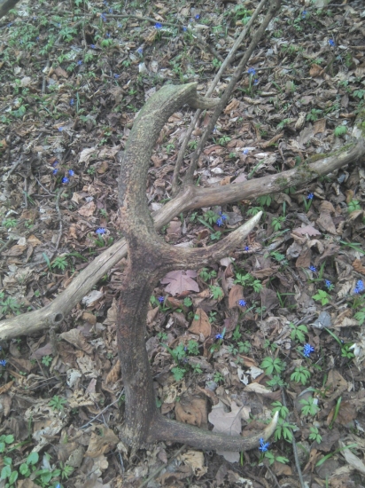 spiatočník 3,2kg ale minuloročny