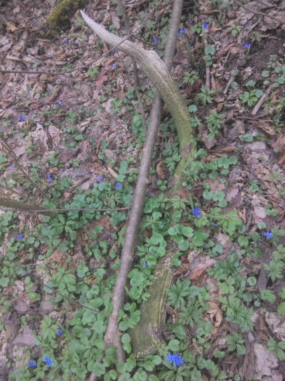 Škoda že nebol najdeny skôr.