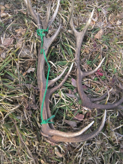 Včerajšia prechadzka