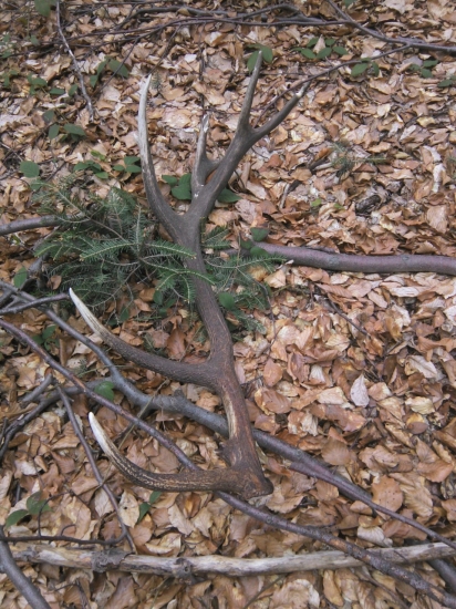 Včerajši osemnastorak iny pohľad.