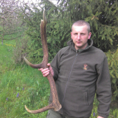 Starši panko