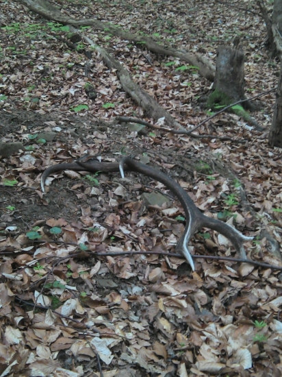 Pohľad ktorí poteši asi každeho