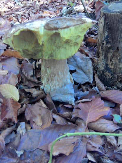 Ešte sa stale najdu