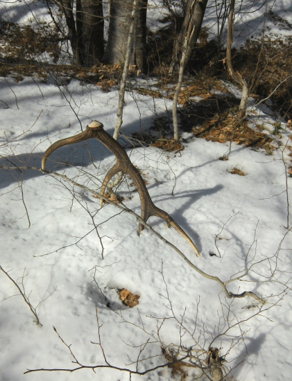 Ten sa nedal prehľadnuť