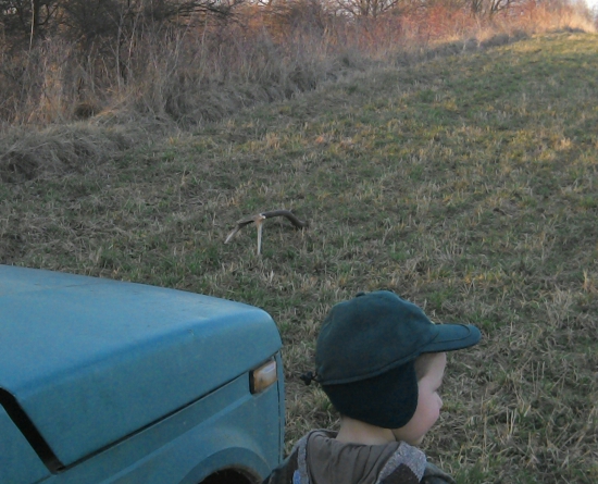 Pri doplňani solnika