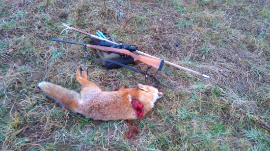 Bez snehu to nema svoje čaro