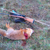 Bez snehu to nema svoje čaro