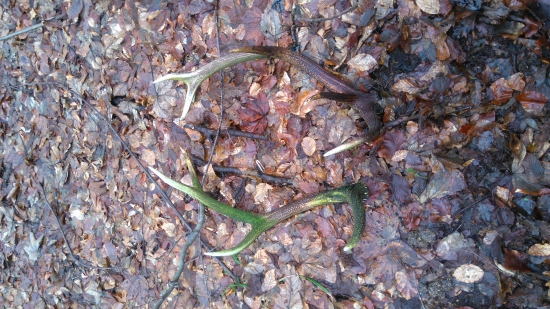 Ešte jedna po vytiahnutí