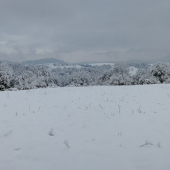 Po včerajšej nádielke.