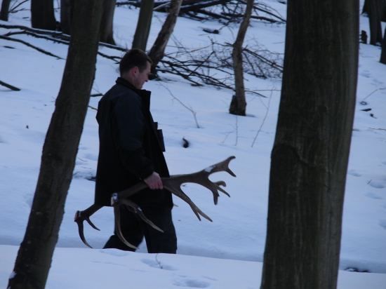 v dolinááách,kde sa drevo z hory tíško zváža ...