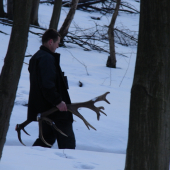 v dolinááách,kde sa drevo z hory tíško zváža ...