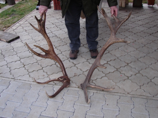 možno pára,možno nie...