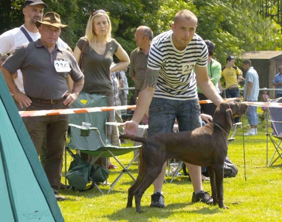 borka z potonskej luky