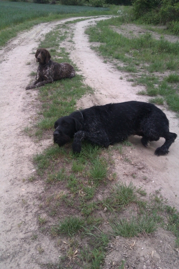 priprava stavacov na FSS