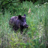 Dávaj si bacha kam ideš