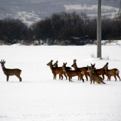To kto je ? Ja sa z toho počúram