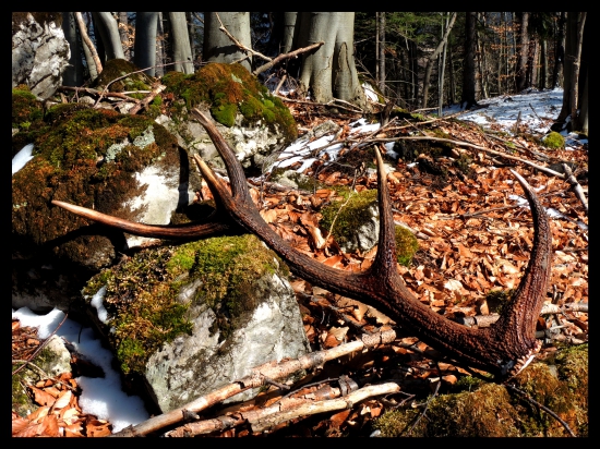 Veľkonočný pondelok