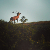 Jedno septembrové ráno