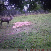 Prosím skúste odhadnúť vek