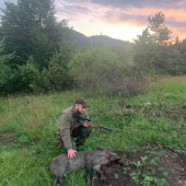 Keď diana dopraje...