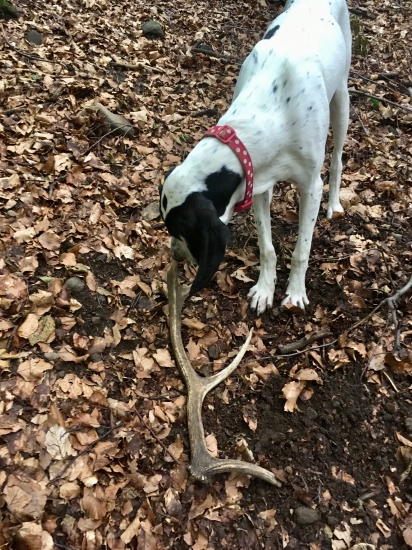 Kejsinke nič neunikne :)