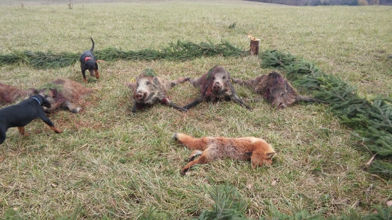 Moje nedelne stastie 3+1.