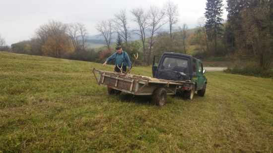Aj napriek svojmu veku vie vzdy  pomoct  Dakujem..