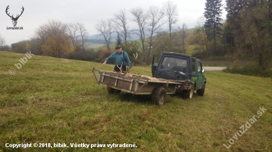 Aj napriek svojmu veku vie vzdy  pomoct  Dakujem..