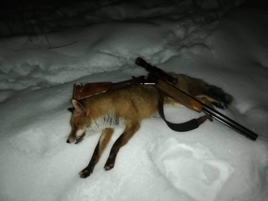 V novom roku nova ( starka) filnta prvy lisiak