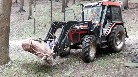 Poď ideme si pre neho ..