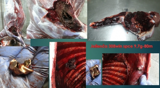 S&B spce 9,7g 308win jelienča -80m