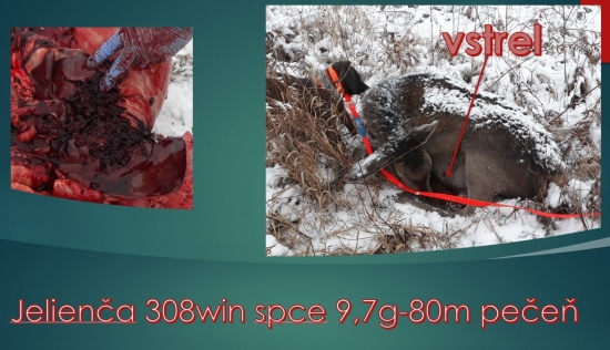 jelienča na pečen spce9,7g 308 win