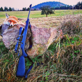 Otvorenie liškárskej sezóny