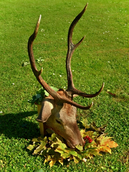 Malá trofej veľkej hodnoty