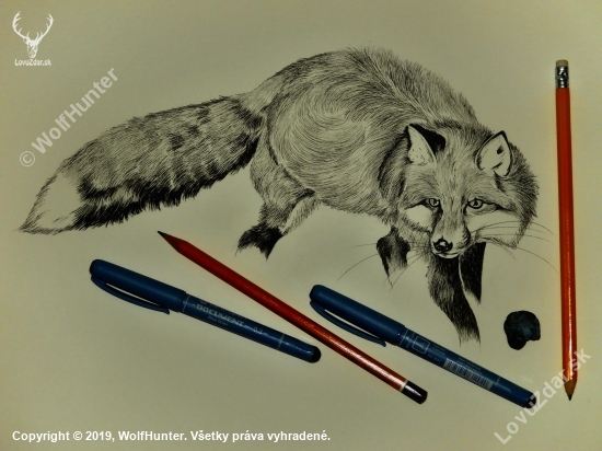 vulpes