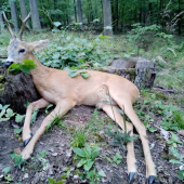 Přechozenej vztah...
