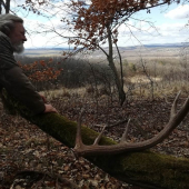 dihi st. a dvaapouka