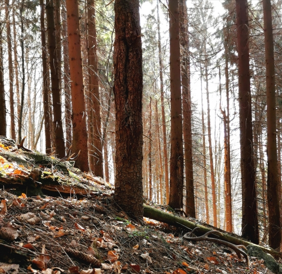 ..nikdy nezabudnem..