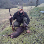 Konečne rohatá muflonica