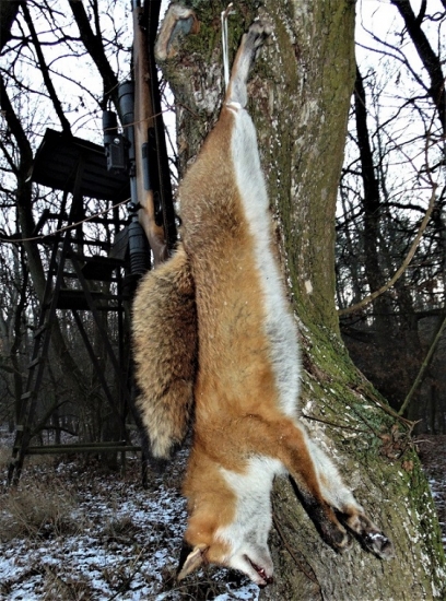 První čekaná skoro na sněhu