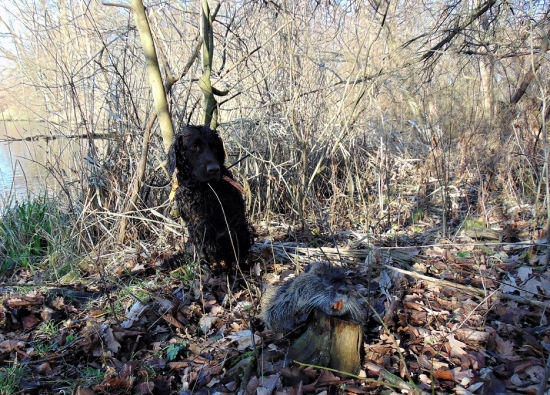 Poslední úlovek v roce 2018