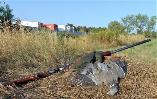 Začala doba lovu hřívnáčů